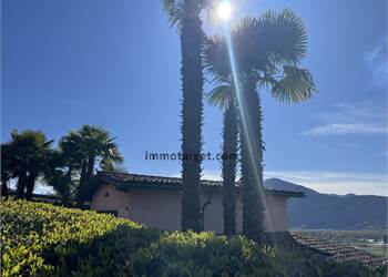 Un vero gioiellino a un prezzo onesto!